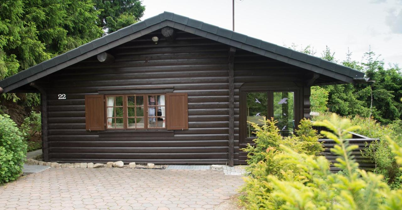 Schwedenhaus Uplandalm Willingen Villa Willingen  Exterior photo