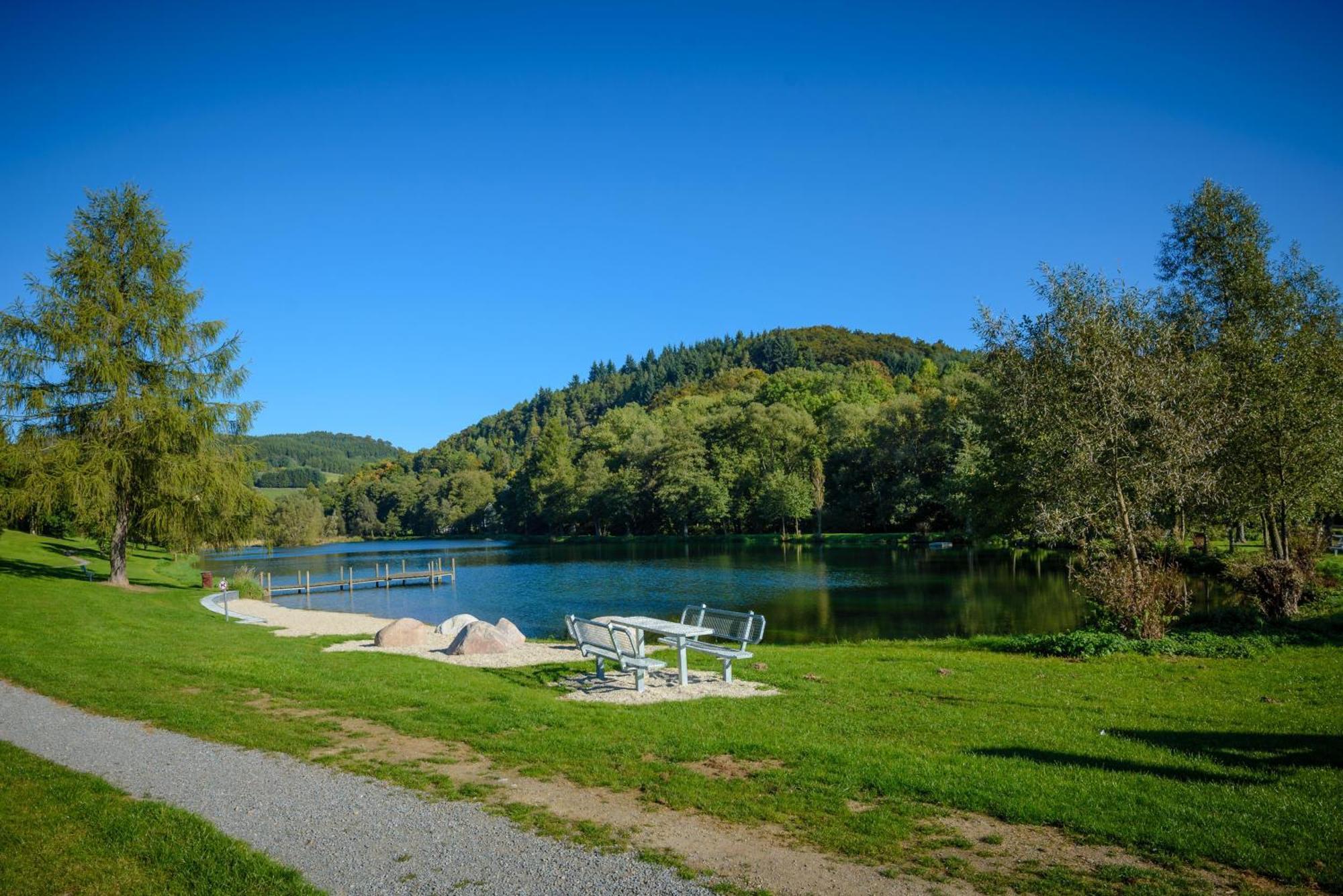 Schwedenhaus Uplandalm Willingen Villa Willingen  Exterior photo