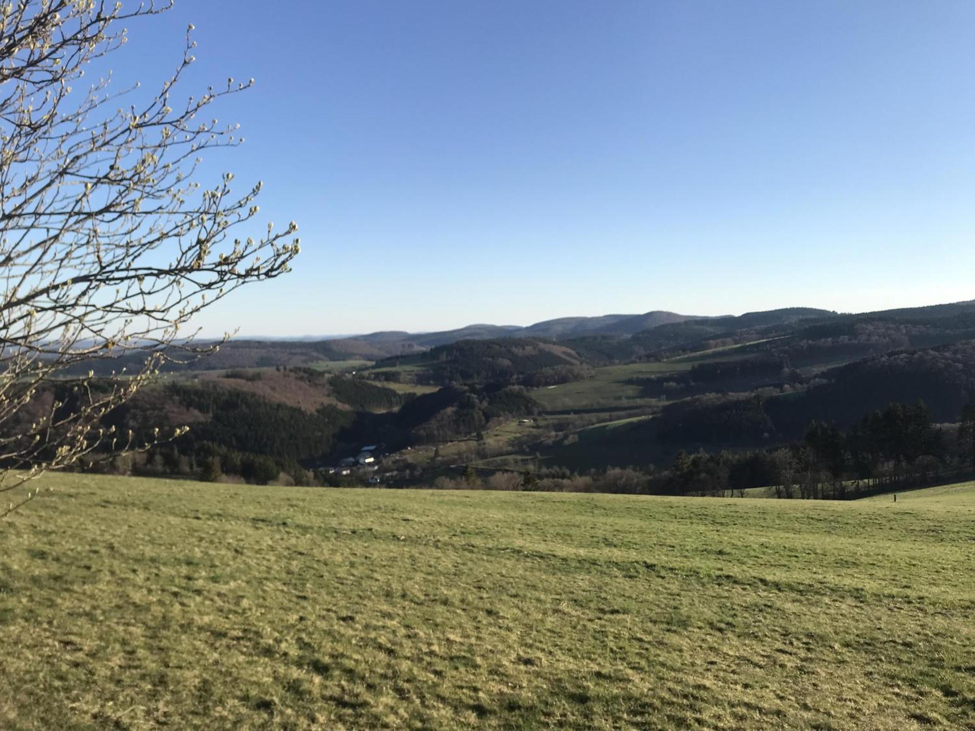 Schwedenhaus Uplandalm Willingen Villa Willingen  Exterior photo